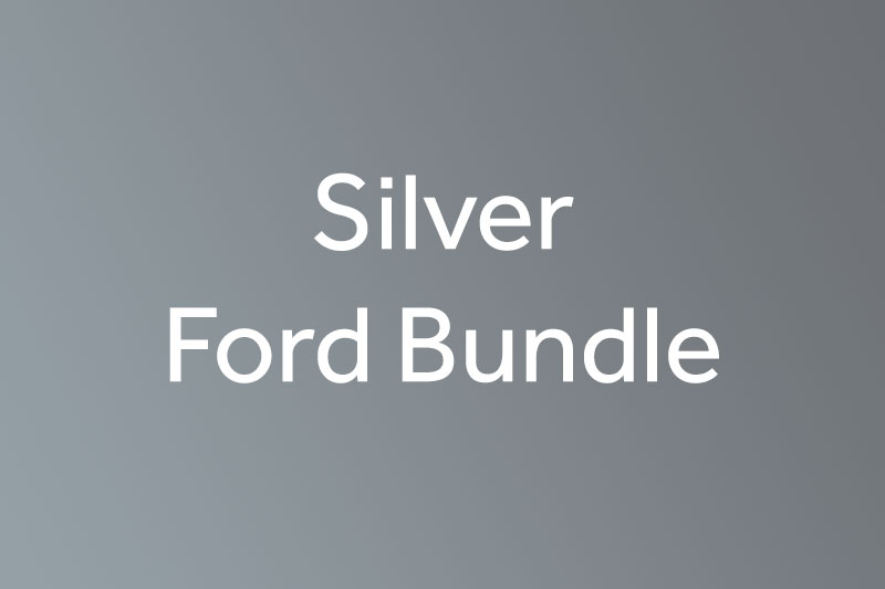 Silver Ford Custom Bundle